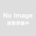 ポリエステル撚糸　２５０／12　約2750ｍ巻　（太さ：約0.8ｍｍ）　日本製
